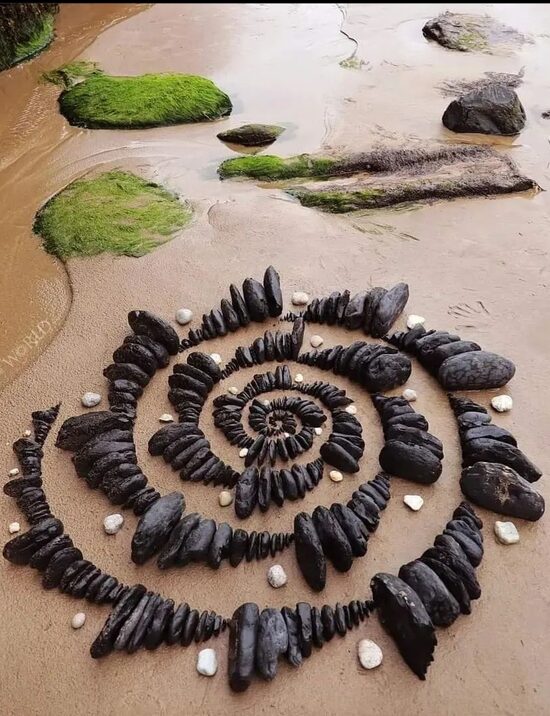 KURSI un NODARBĪBAS